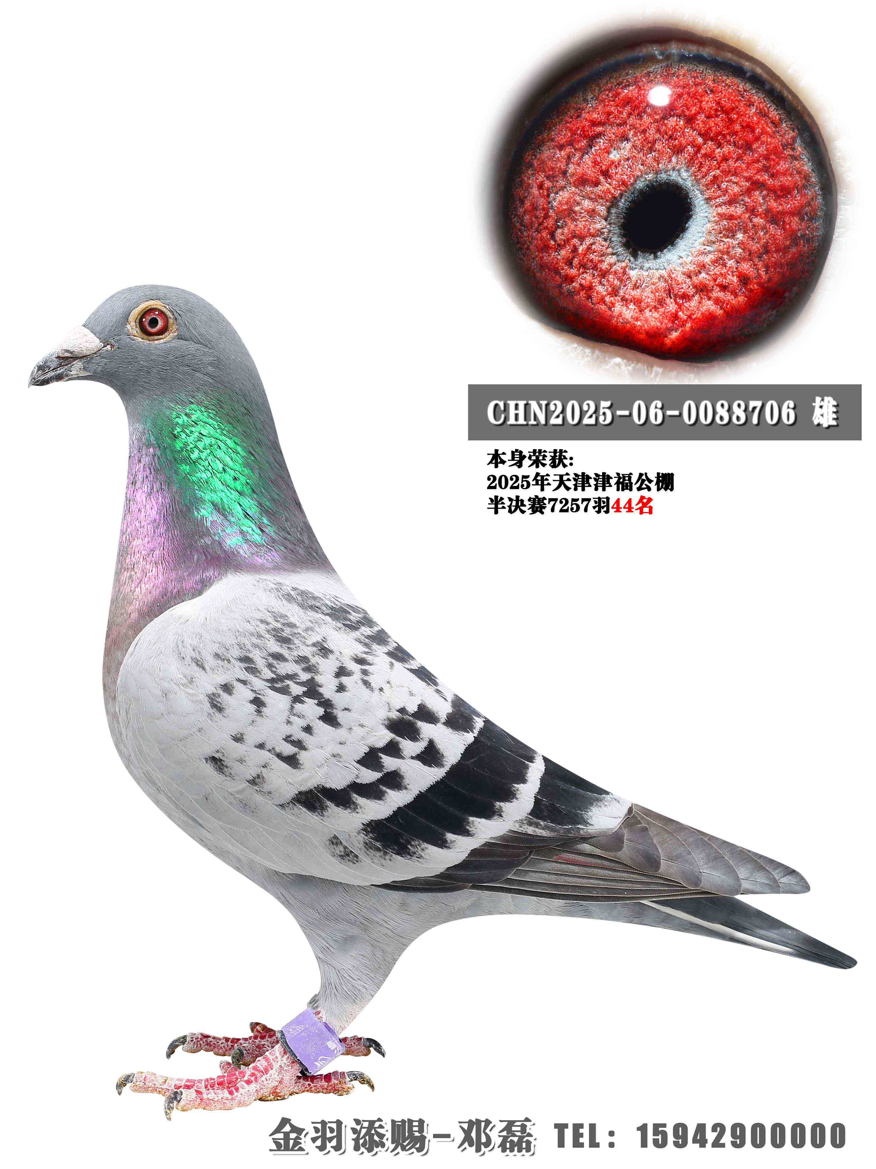 2025��򸣹�������44��