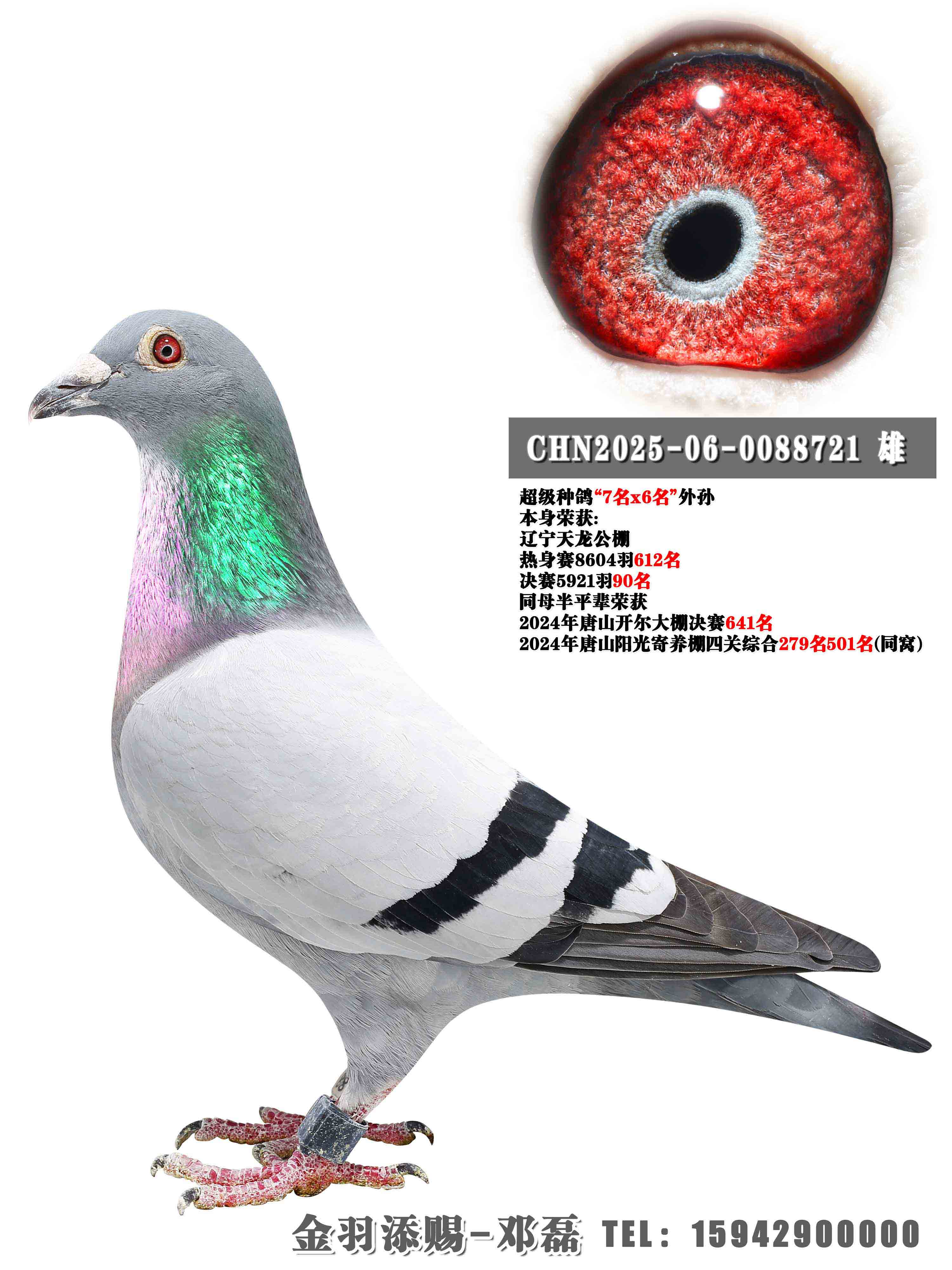 2025�������������90��