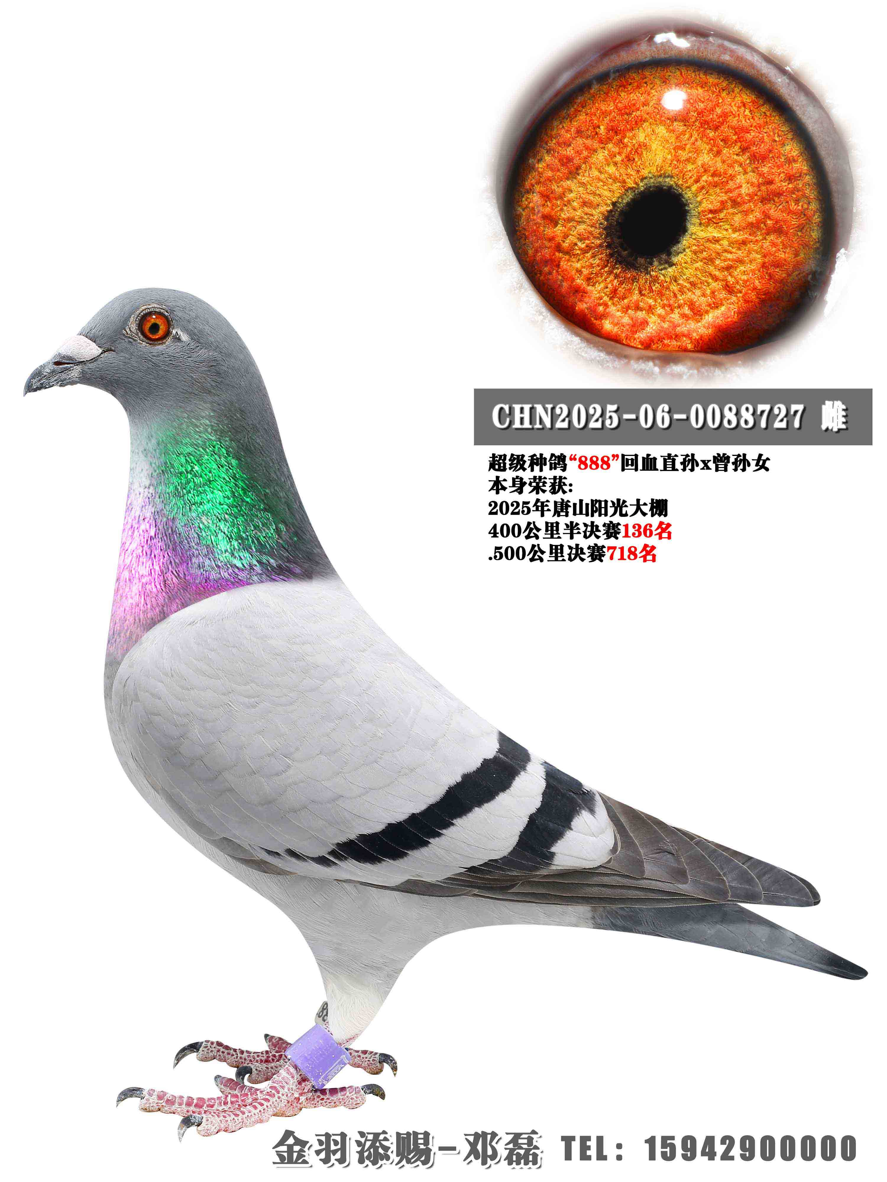 2025����ɽ���⹫�����718��