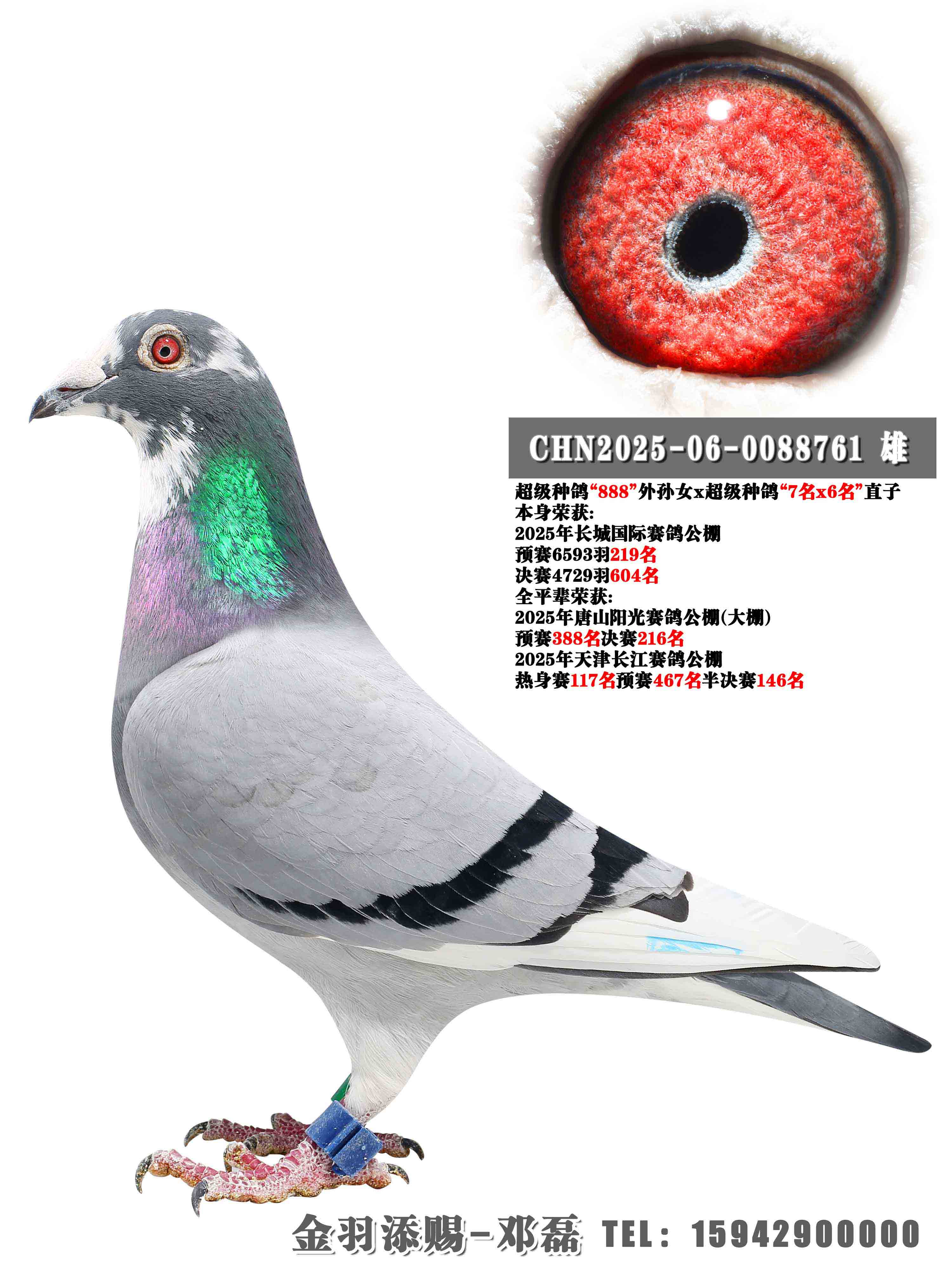 2025�곤�ǹ������604