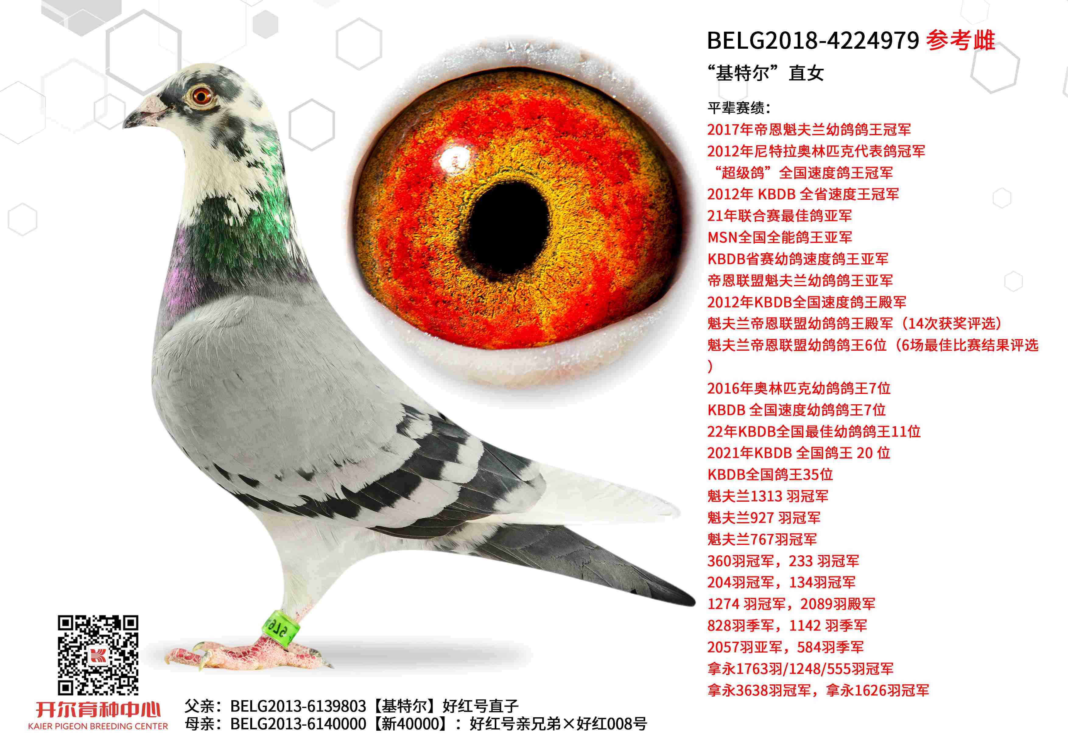 �����ض���ֱŮ