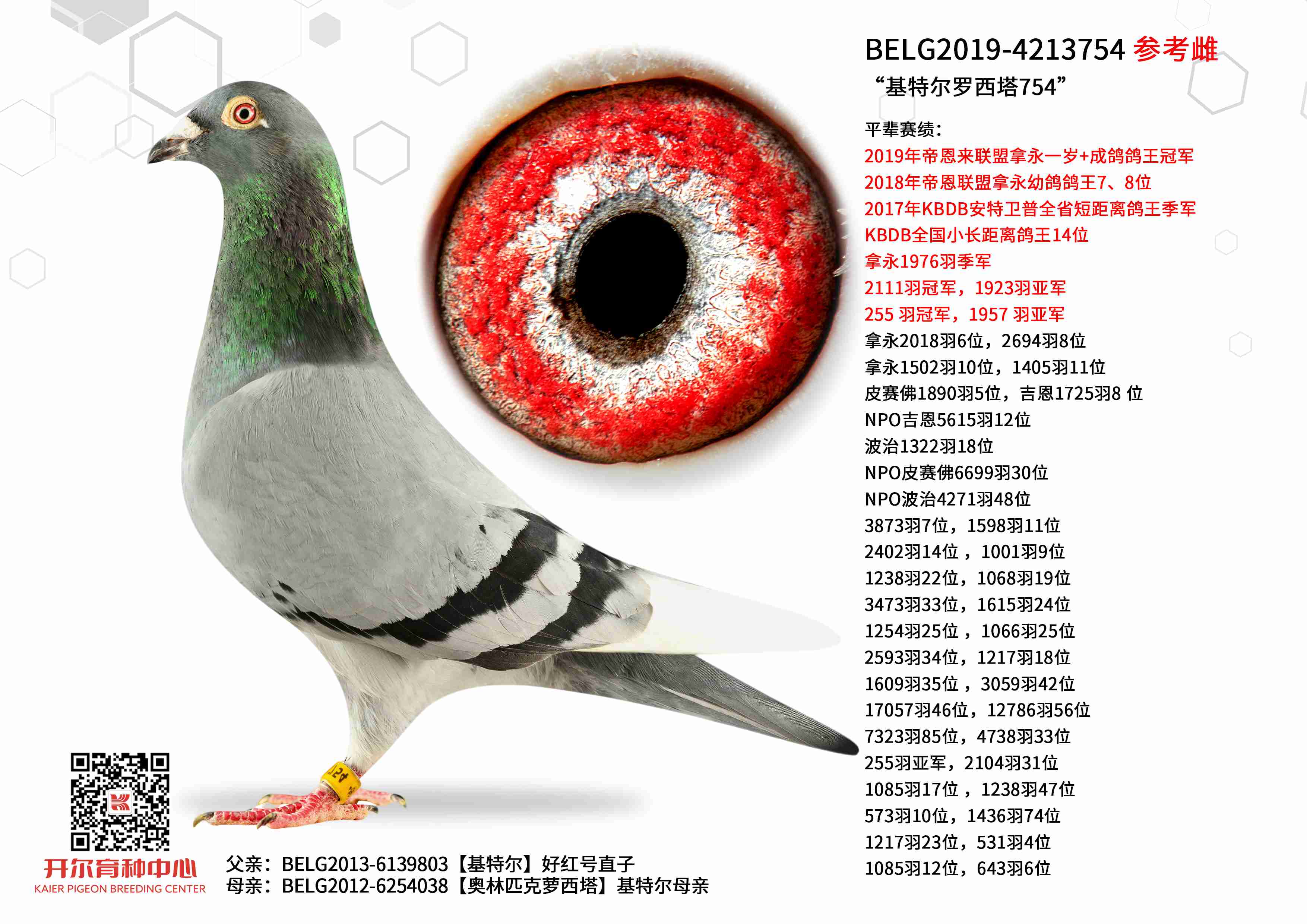 �����ض�������754��