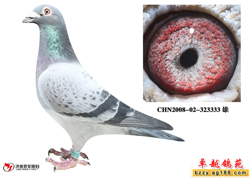 ������˿˿ֱ��