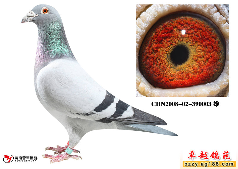 ղɭ��ë��ֱ��ʯ����ֱ��