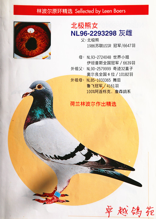 �ֲ���������Ů��