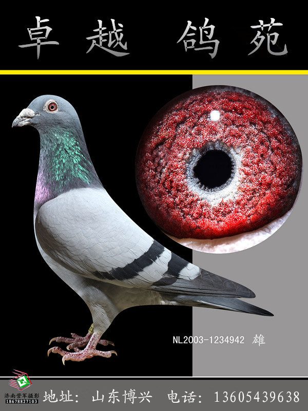 ������Сħ����ֱ�Ӱ�����