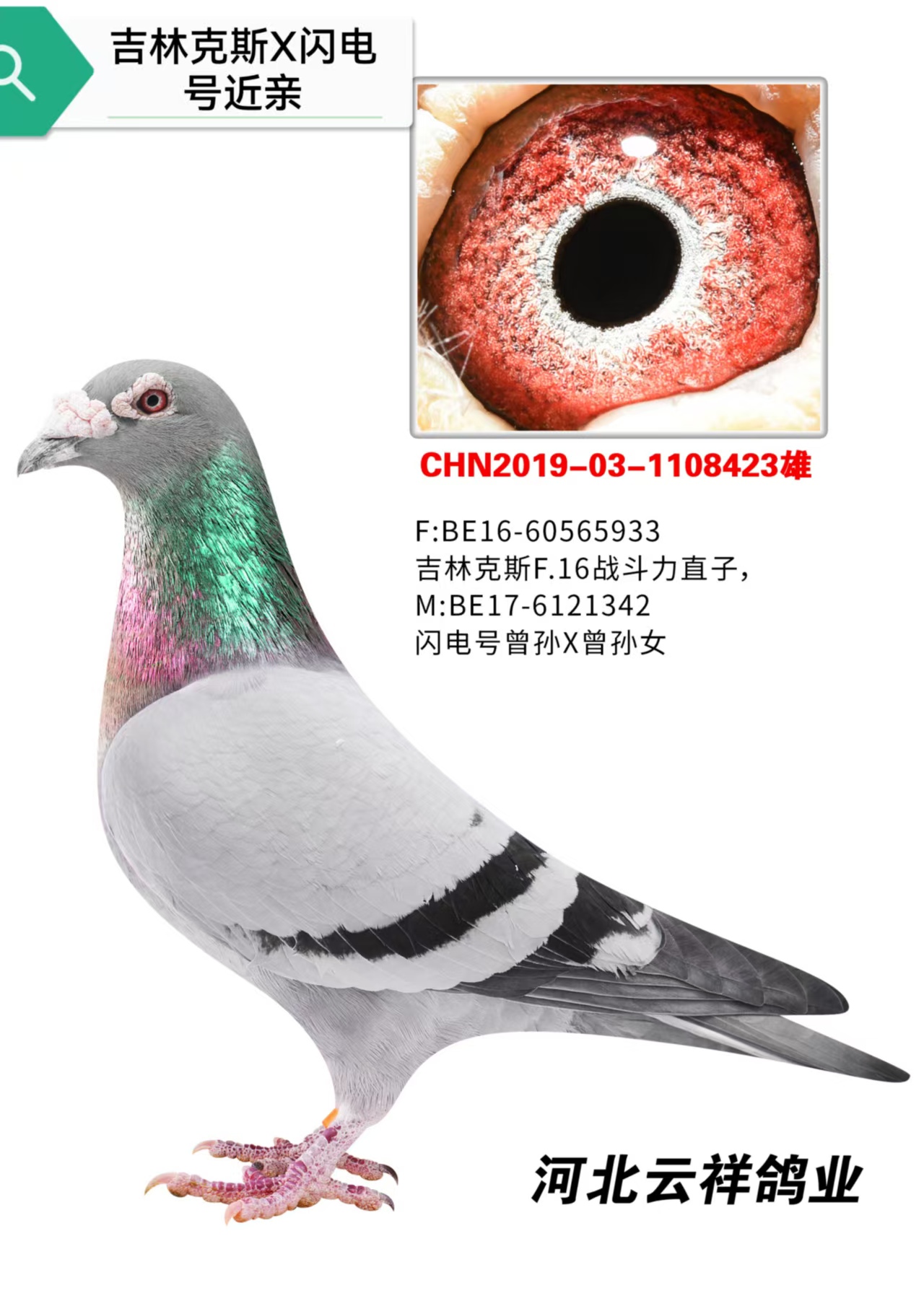 F.16ս����ֱ��