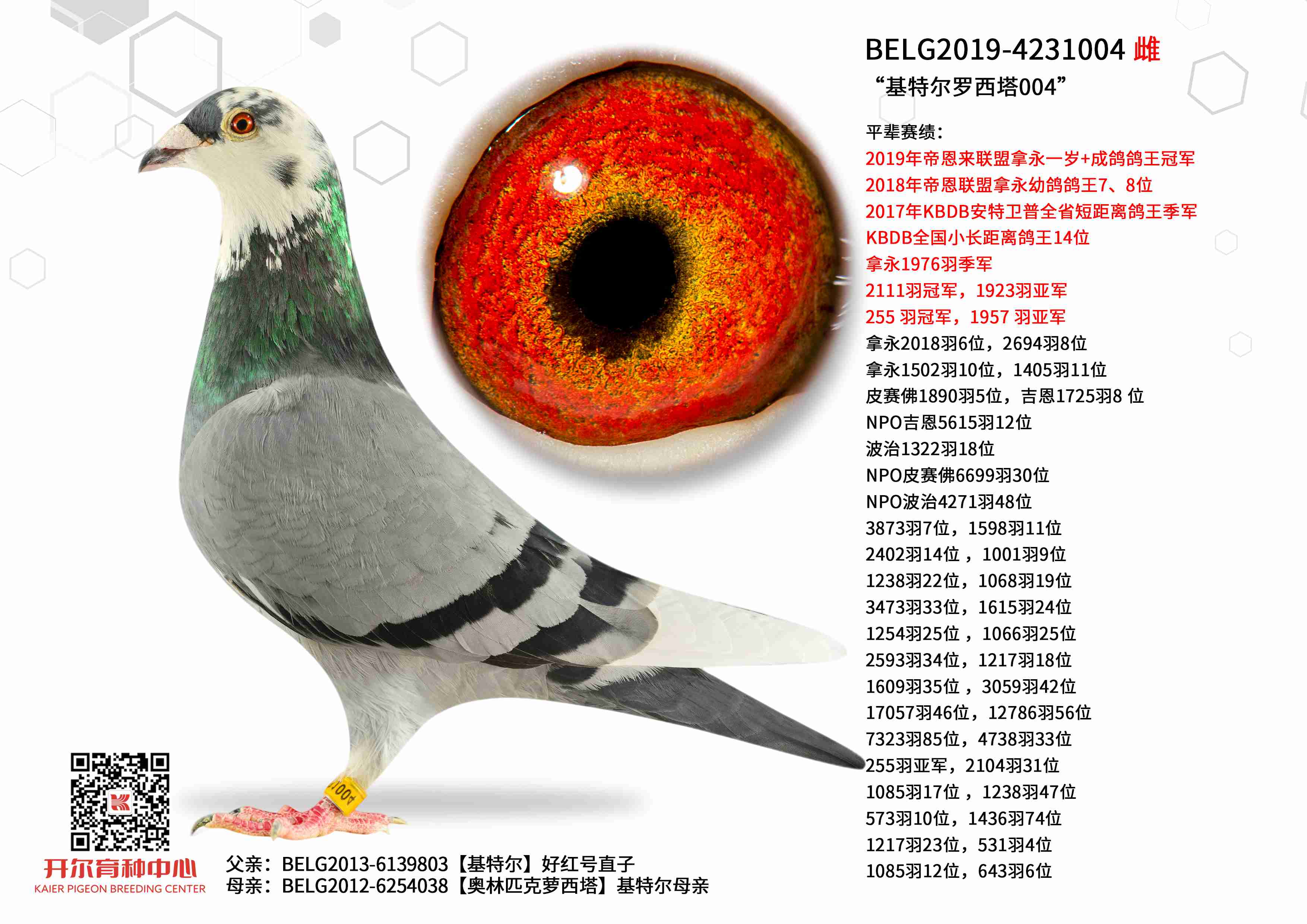 �����ض�������004��