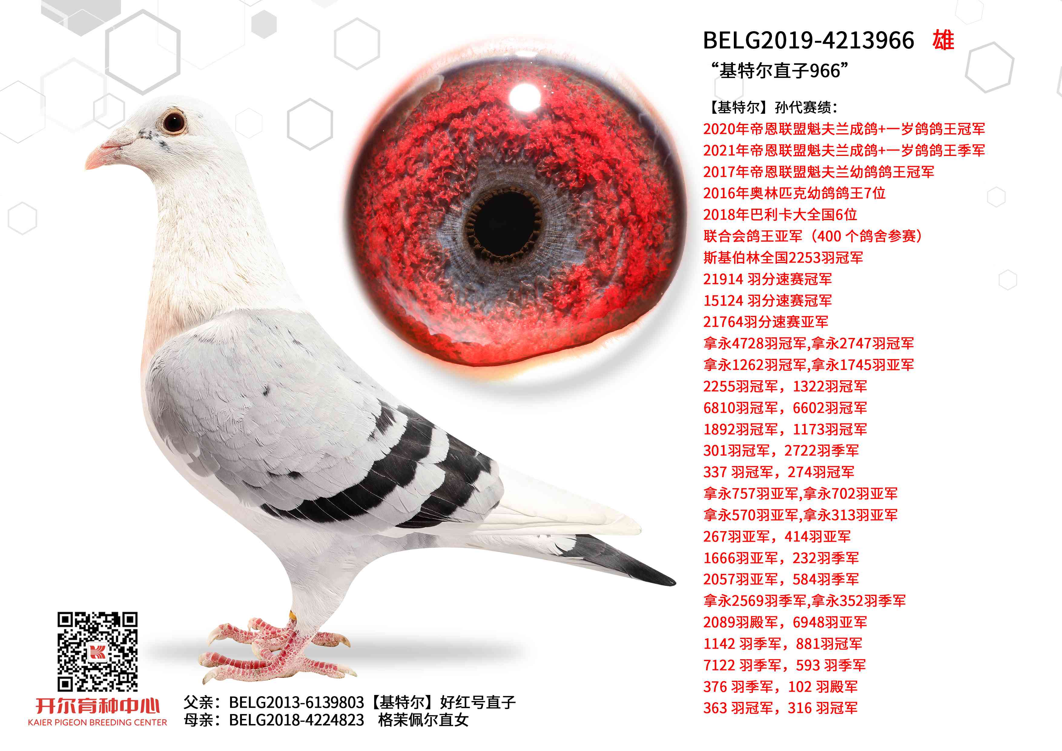 �����ض�ֱ��966��