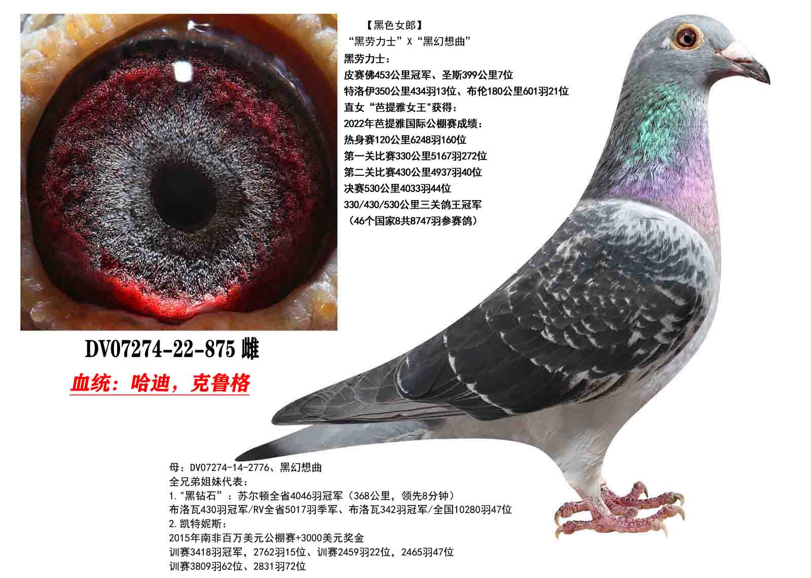 ���Ͽ�³�����