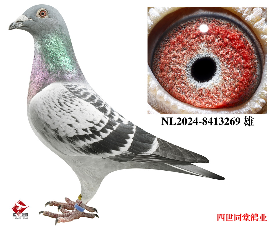 쫷��֮��*��ǧ����