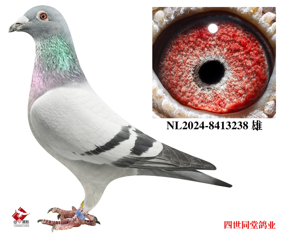 쫷��֮��*��ǧ����