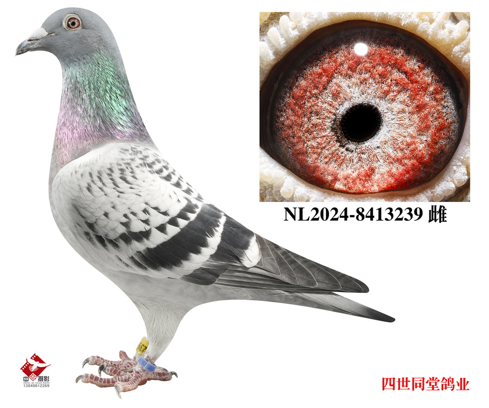 쫷��֮��*��ǧ����