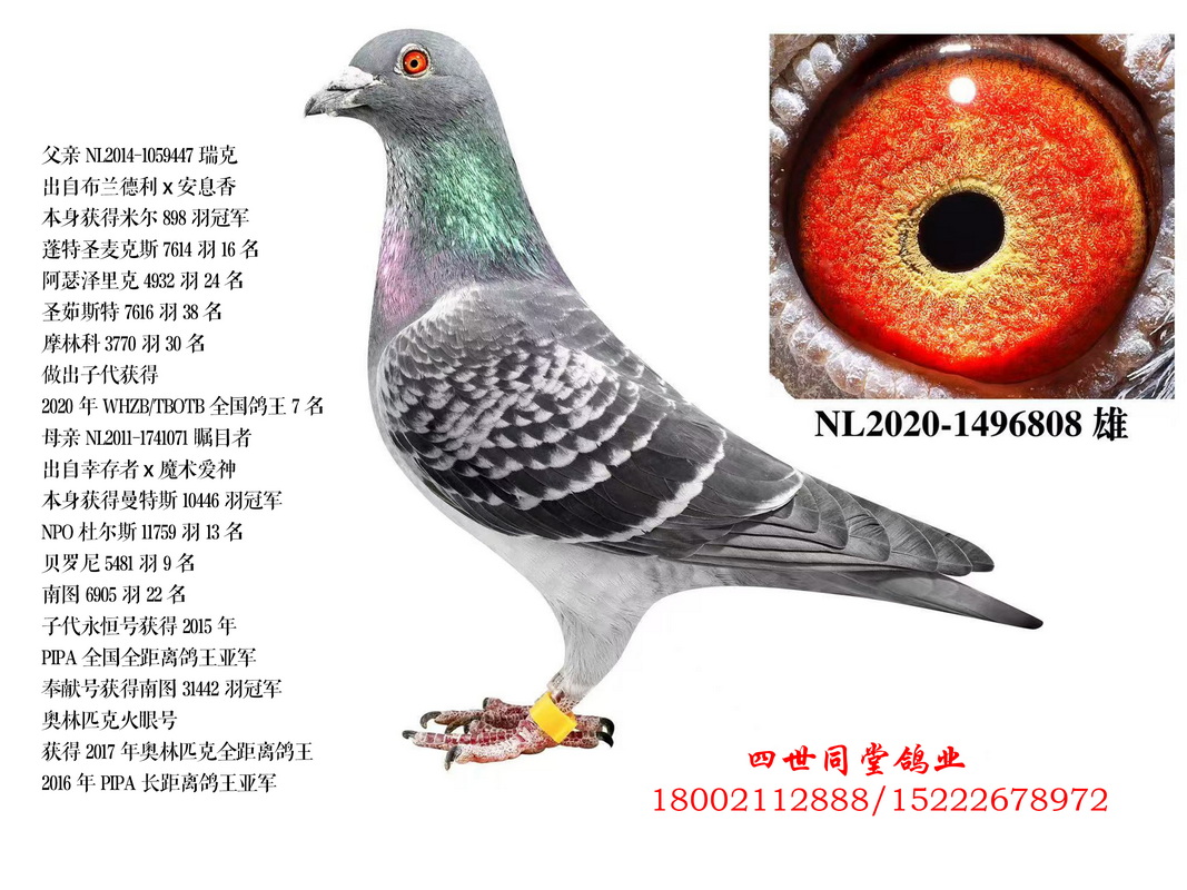 ���*��Ŀ��