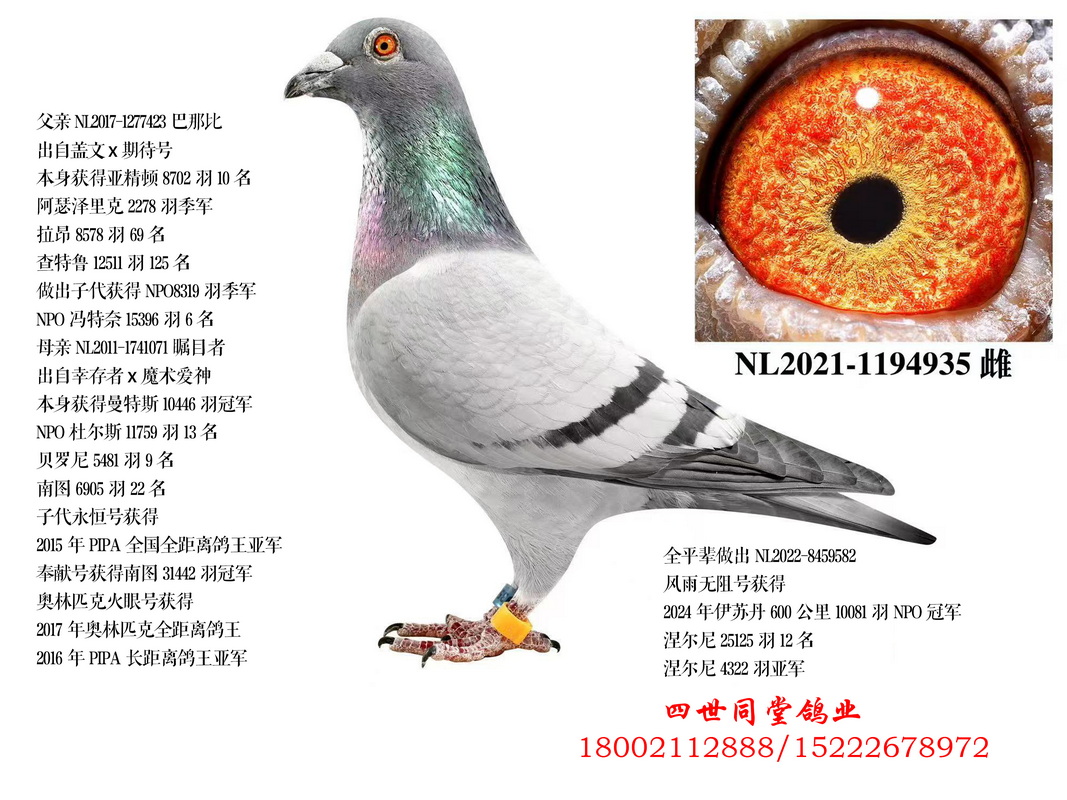 ���ɱ�*��Ŀ��