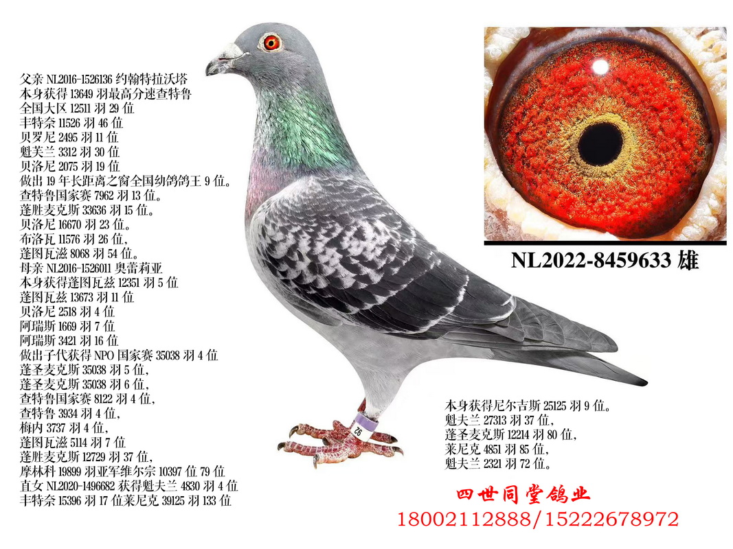 Լ����������*��������