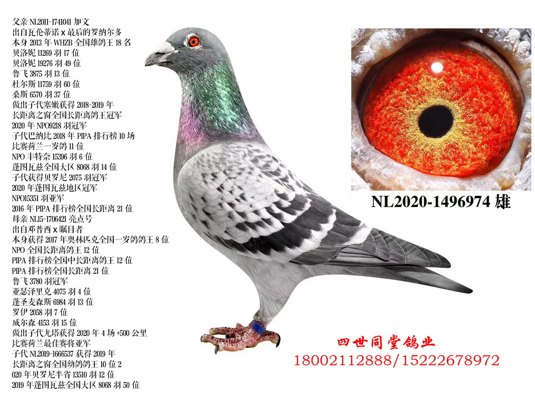 ����*�����