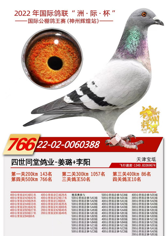 22���������ݻԻ͹������10λ