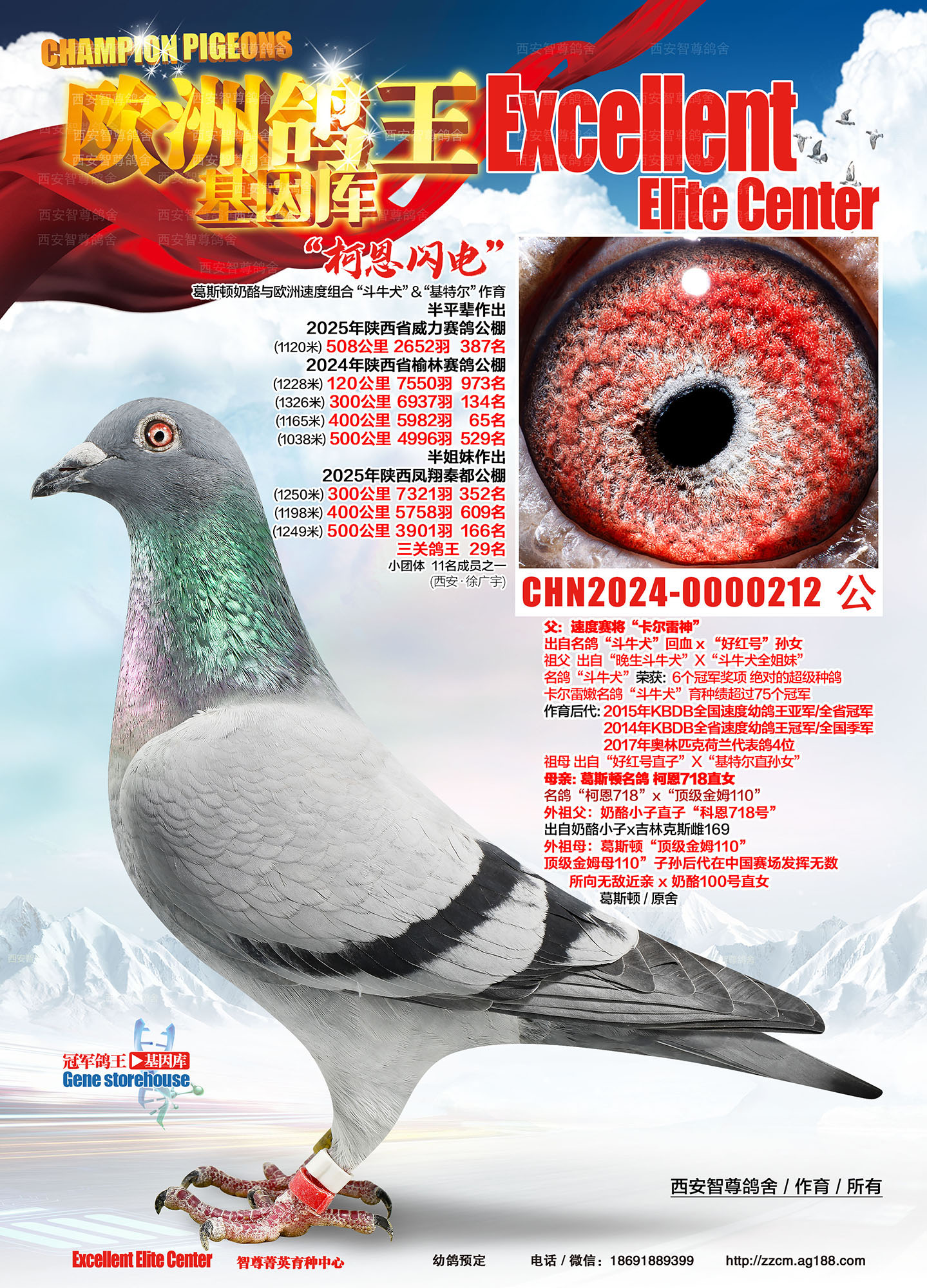 �ƶ�����