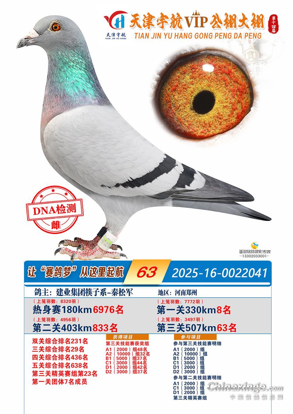 ���63��