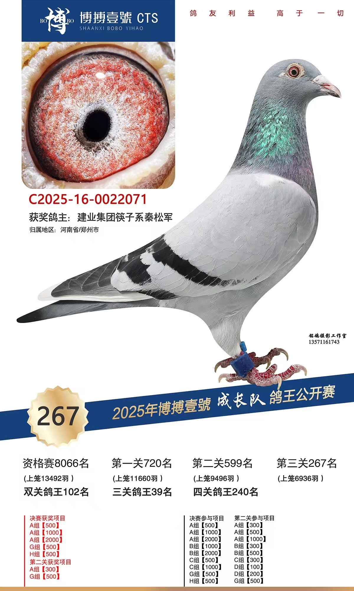 �����ɳ��Ӿ���267��