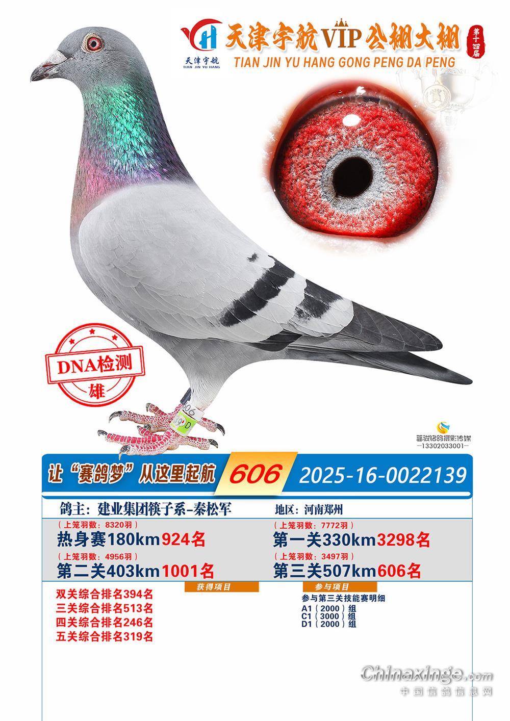 �����������606��