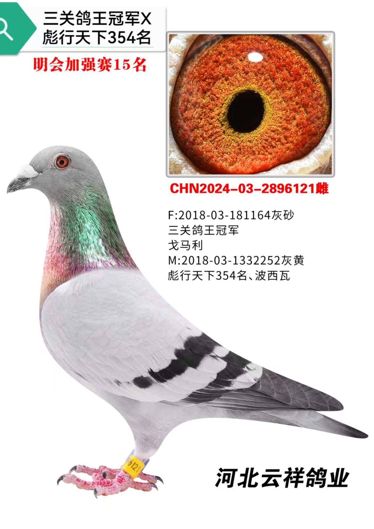 ���ṫ���վ��15��