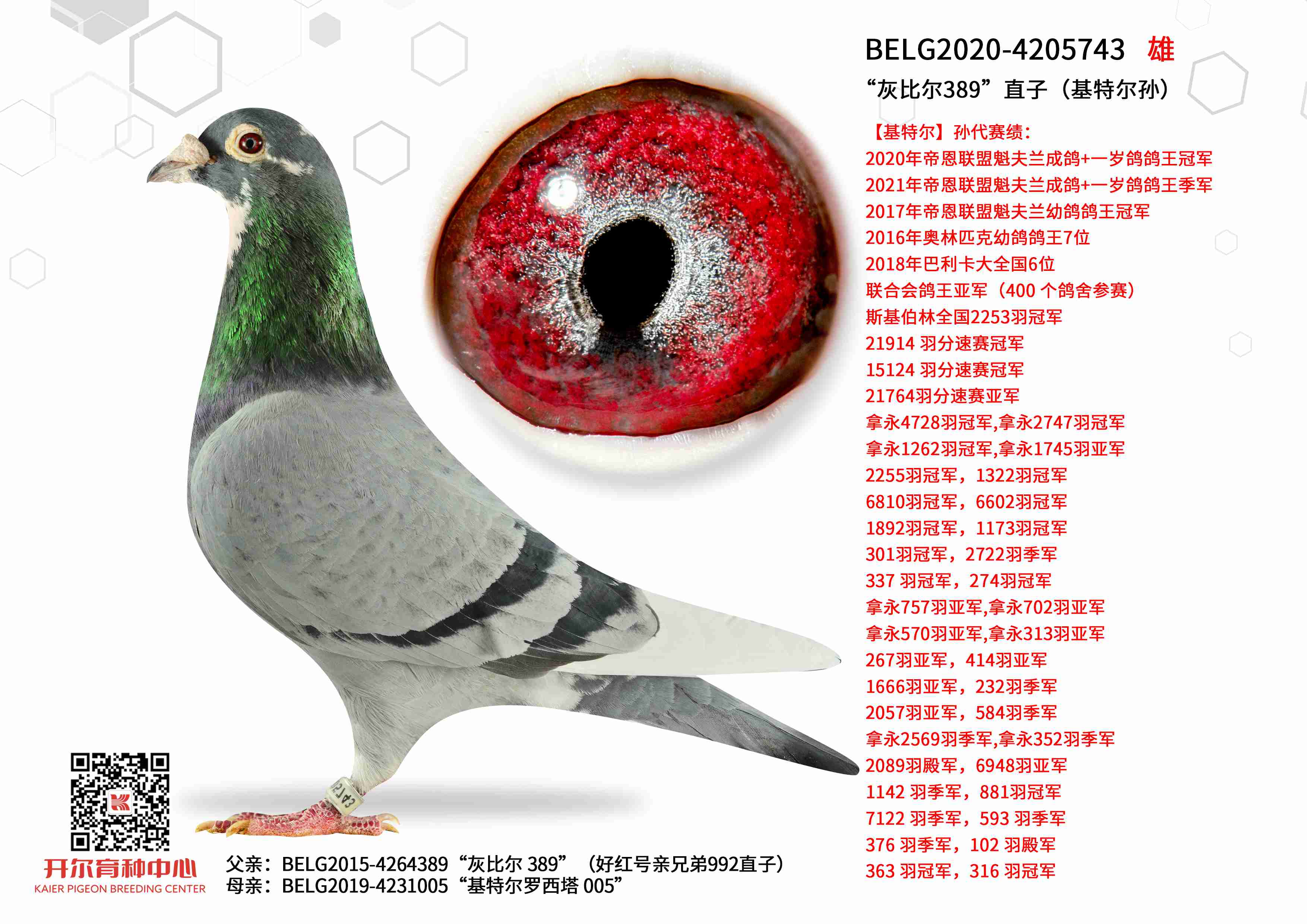 ���ұȶ�389��ֱ�ӣ����ض��