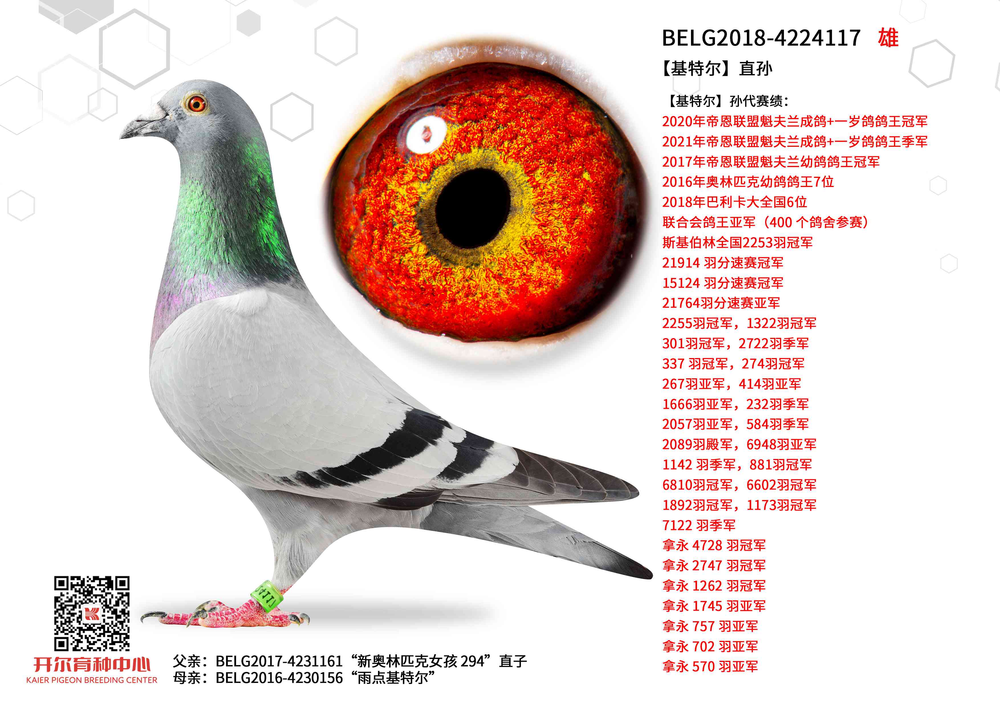 �����ض���ֱ��