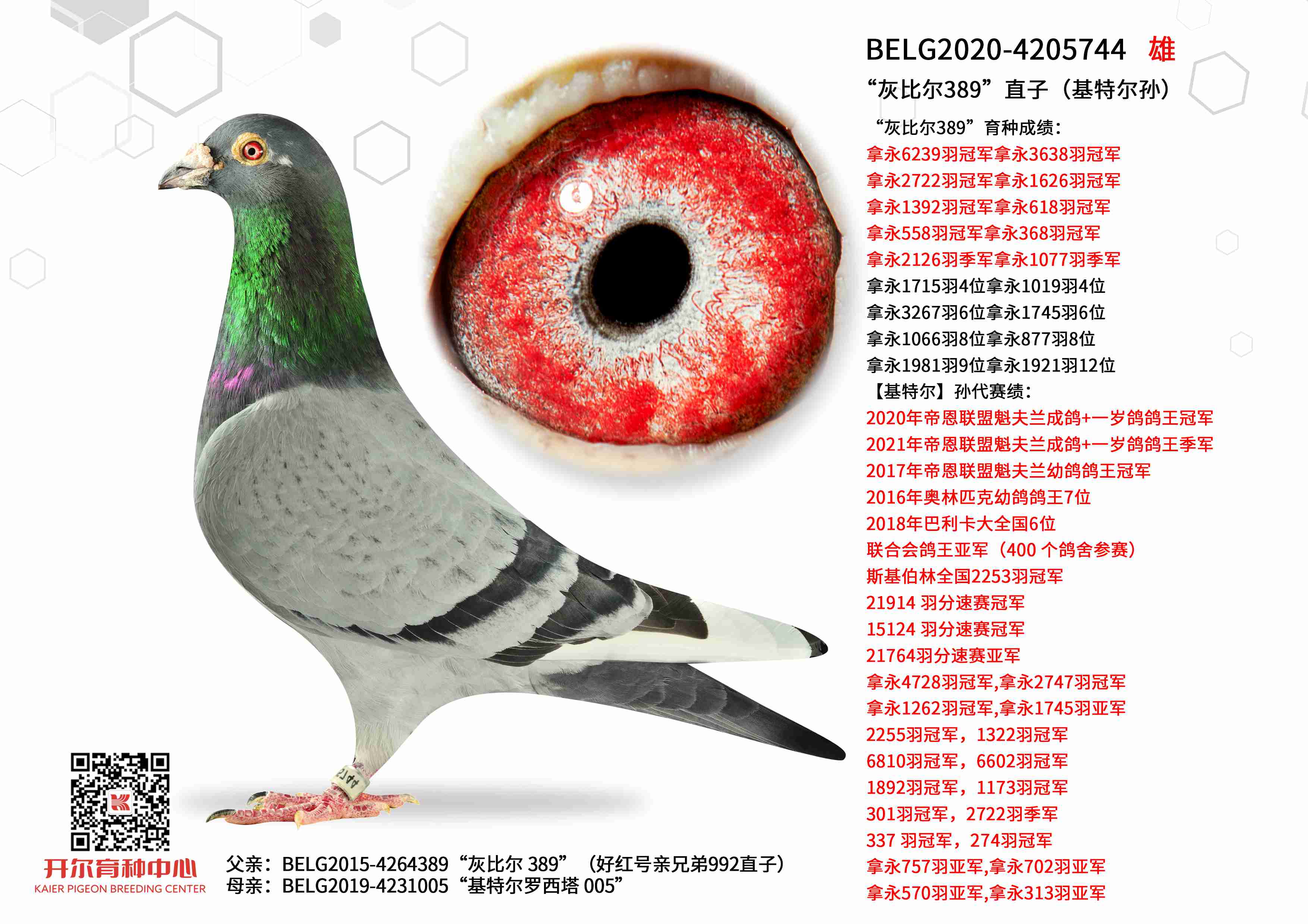 ���ұȶ�389��ֱ�ӣ����ض��