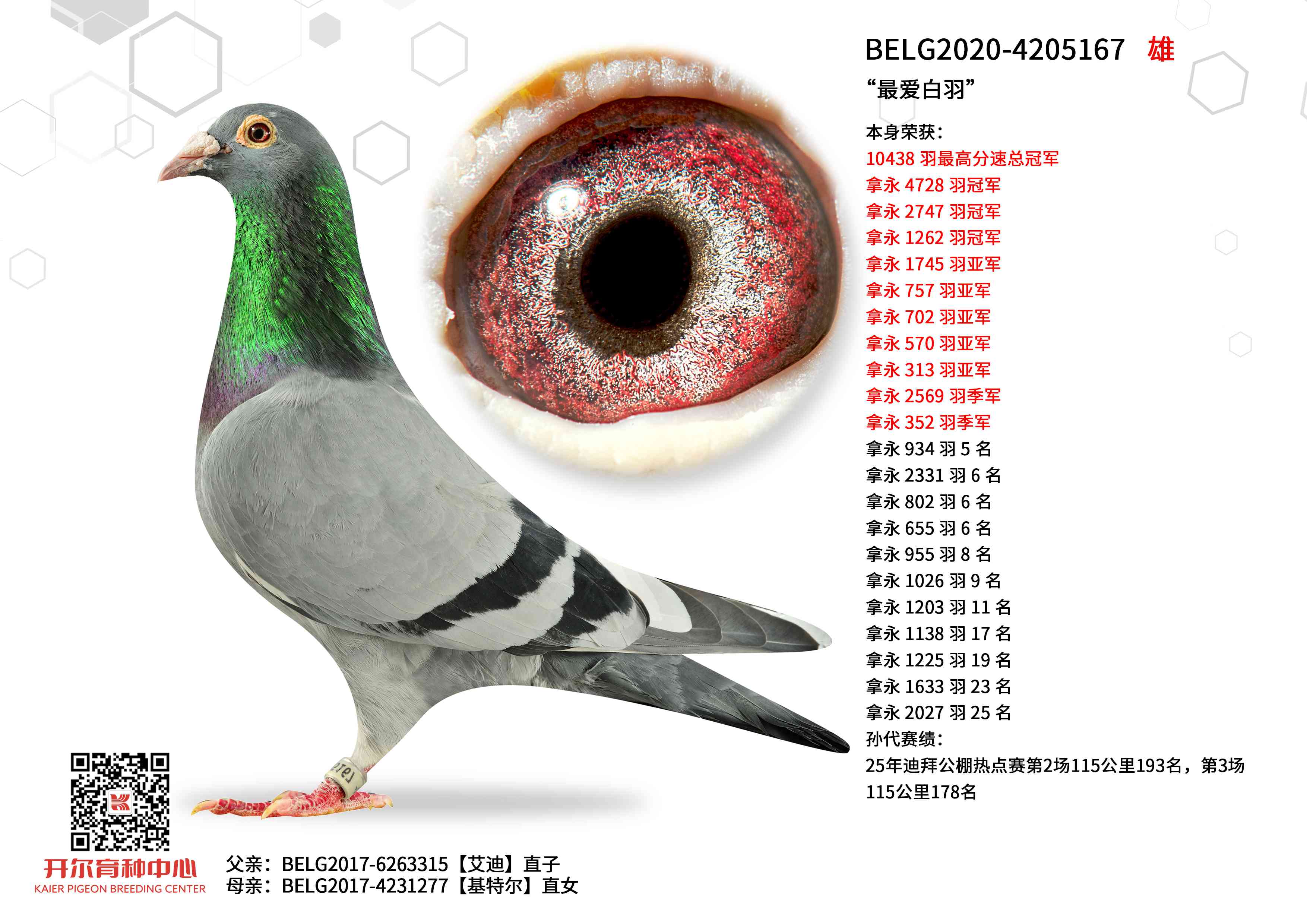 �������