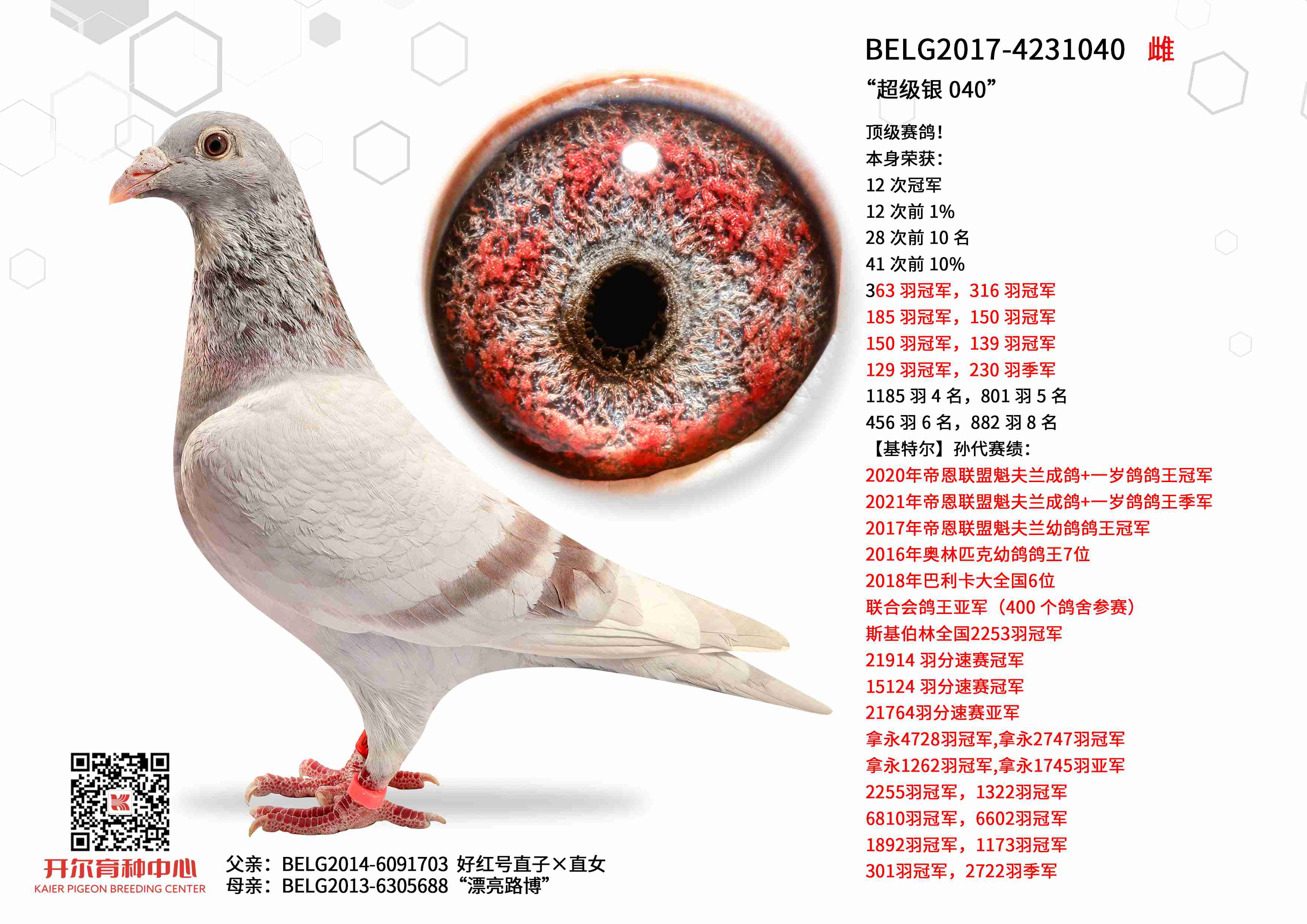 �������� 040��