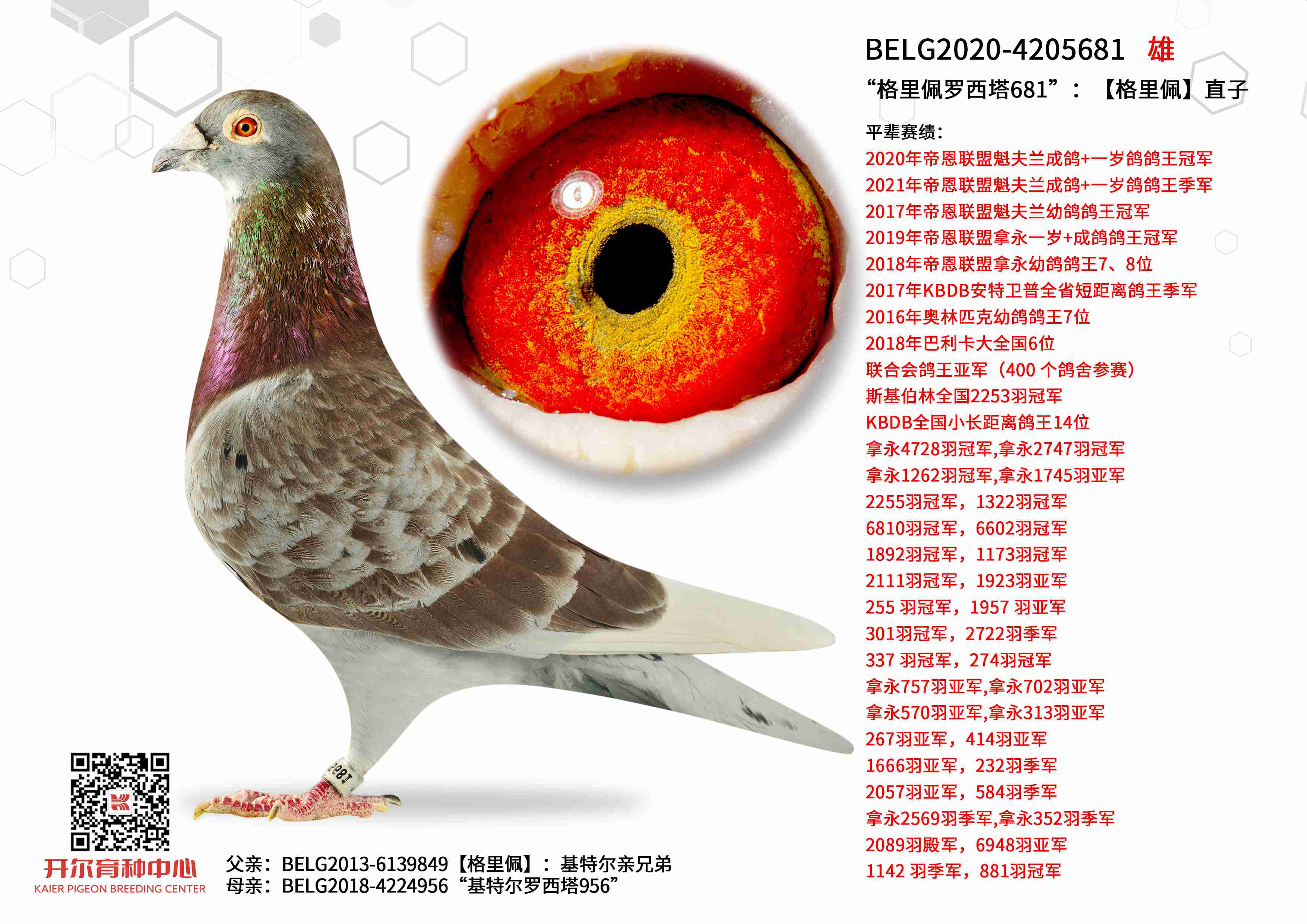 ��������������681�����������塿ֱ��