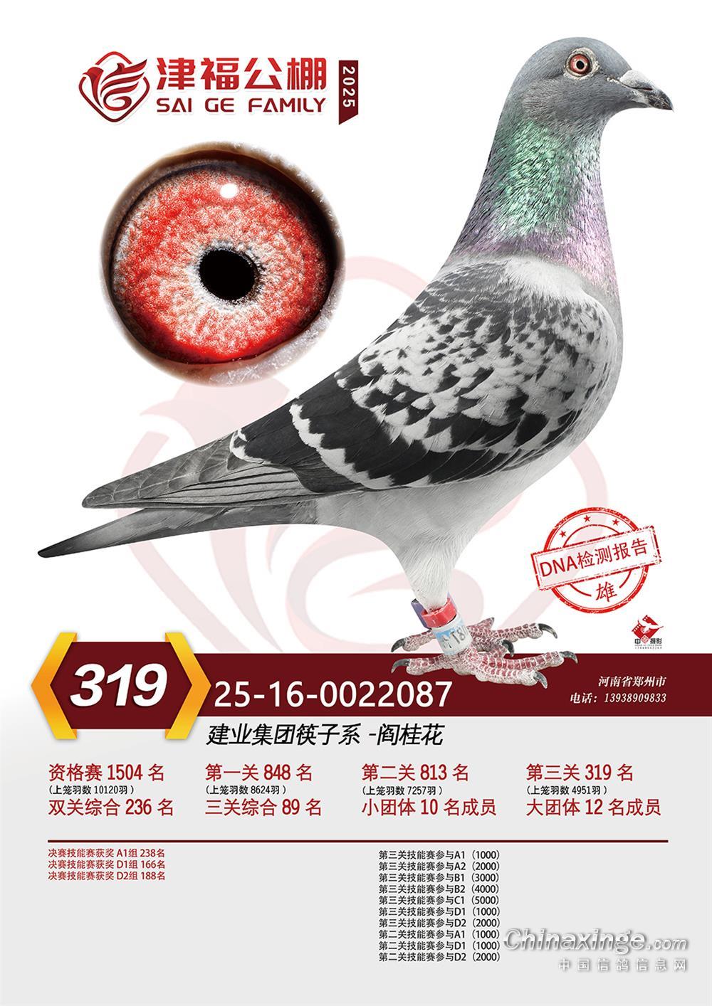 ���򸣛Qِ319��