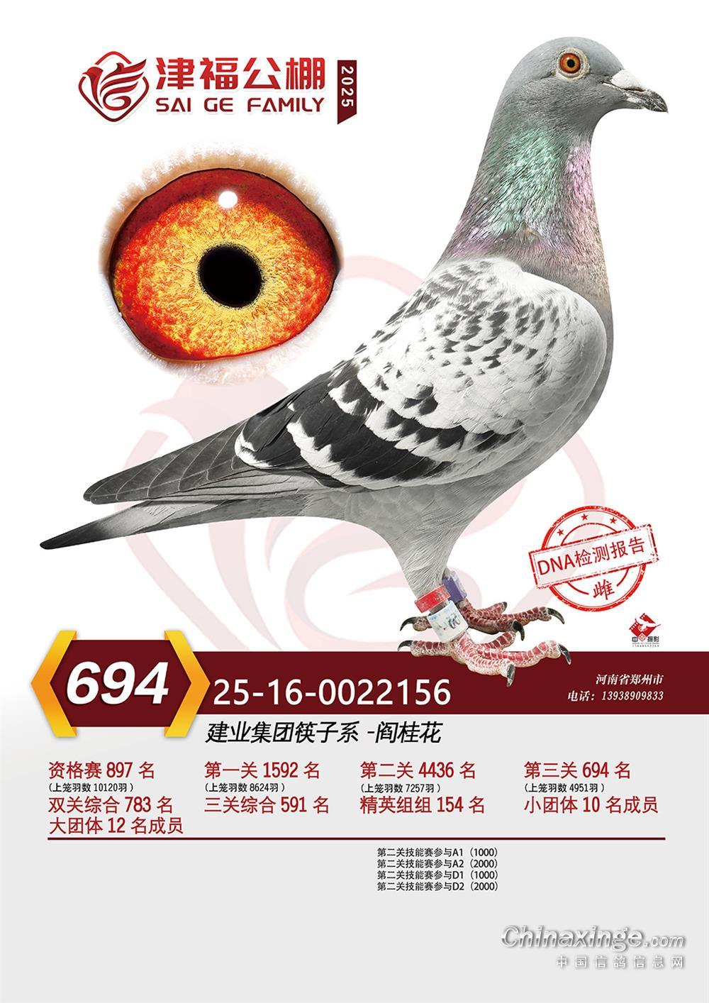 ���򸣛Qِ694��