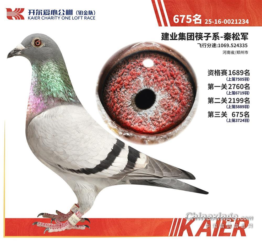 �_���K��ꠛQِ675��