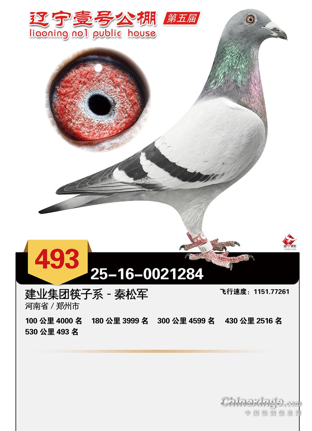 �|��Ҽ̖����Qِ493��