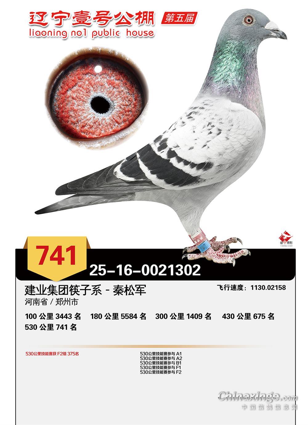 �|��Ҽ̖(h��o)����Qِ741��