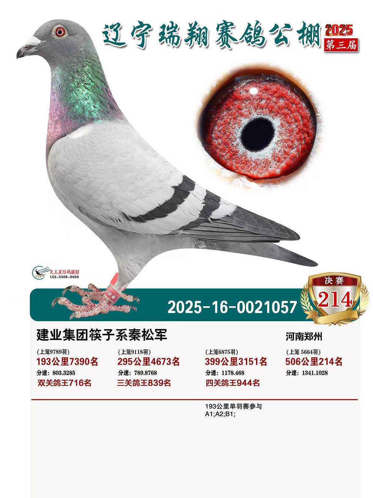 �|�����蹫��Qِ214��