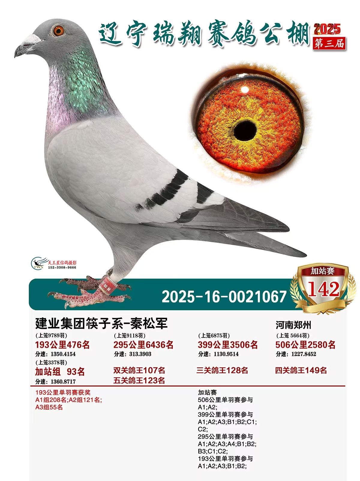 �|�����蹫���վِ142��