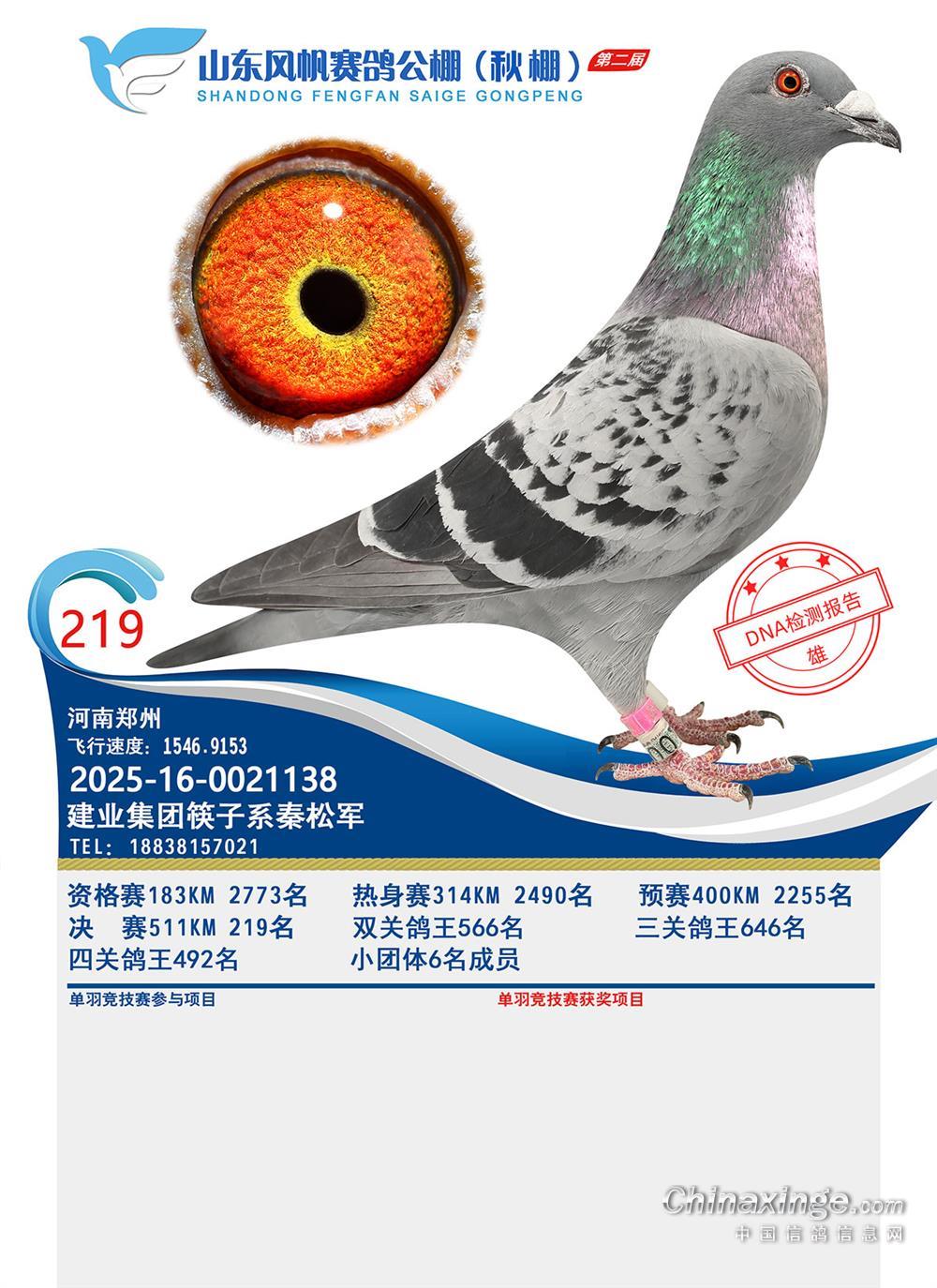 ɽ�|�L(f��ng)������Qِ219��