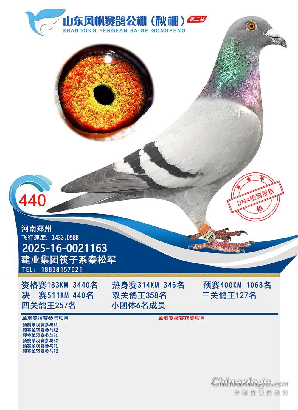 ɽ�|�L(f��ng)������Qِ440��