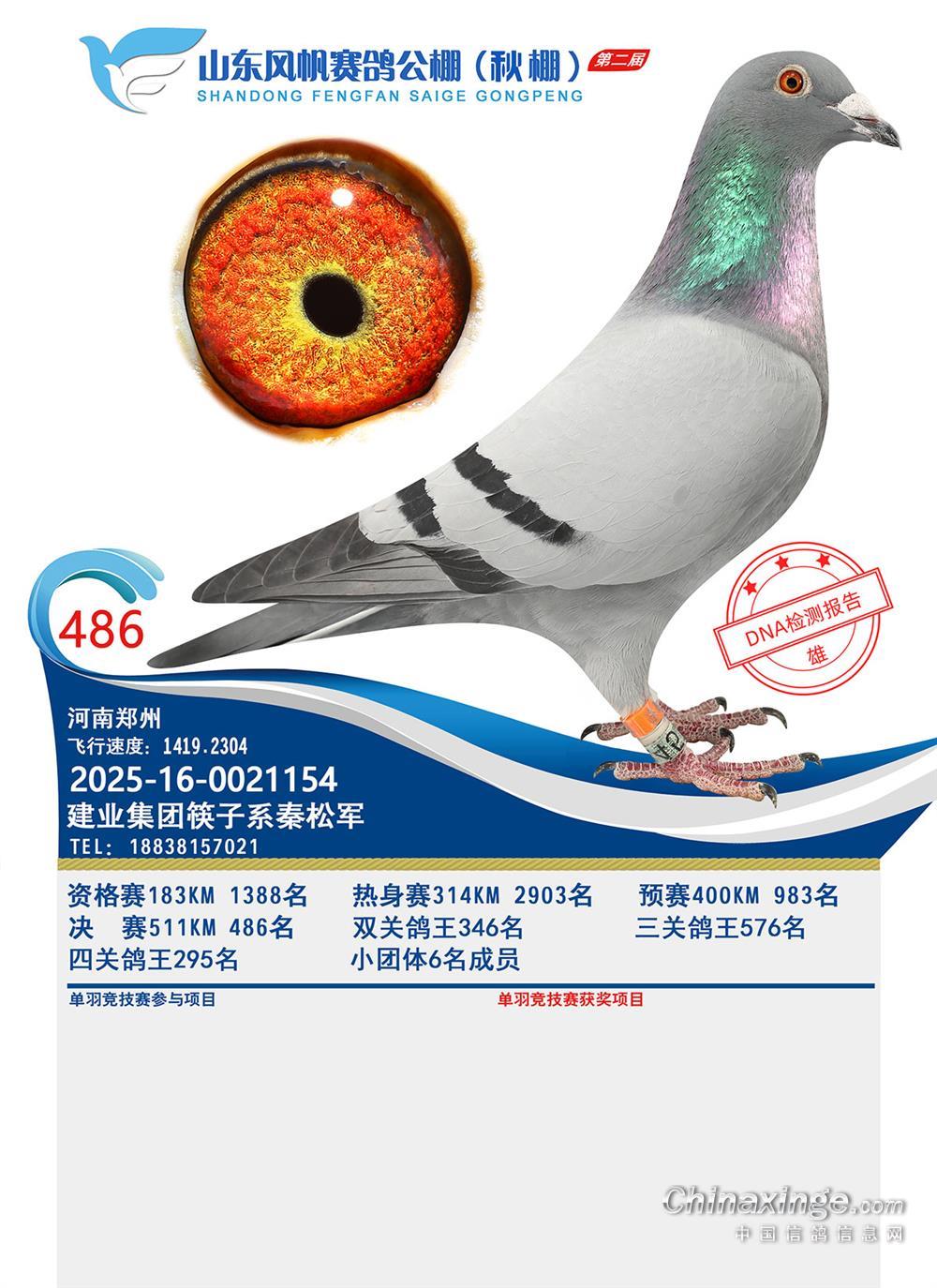 ɽ�|�L(f��ng)������Qِ486��