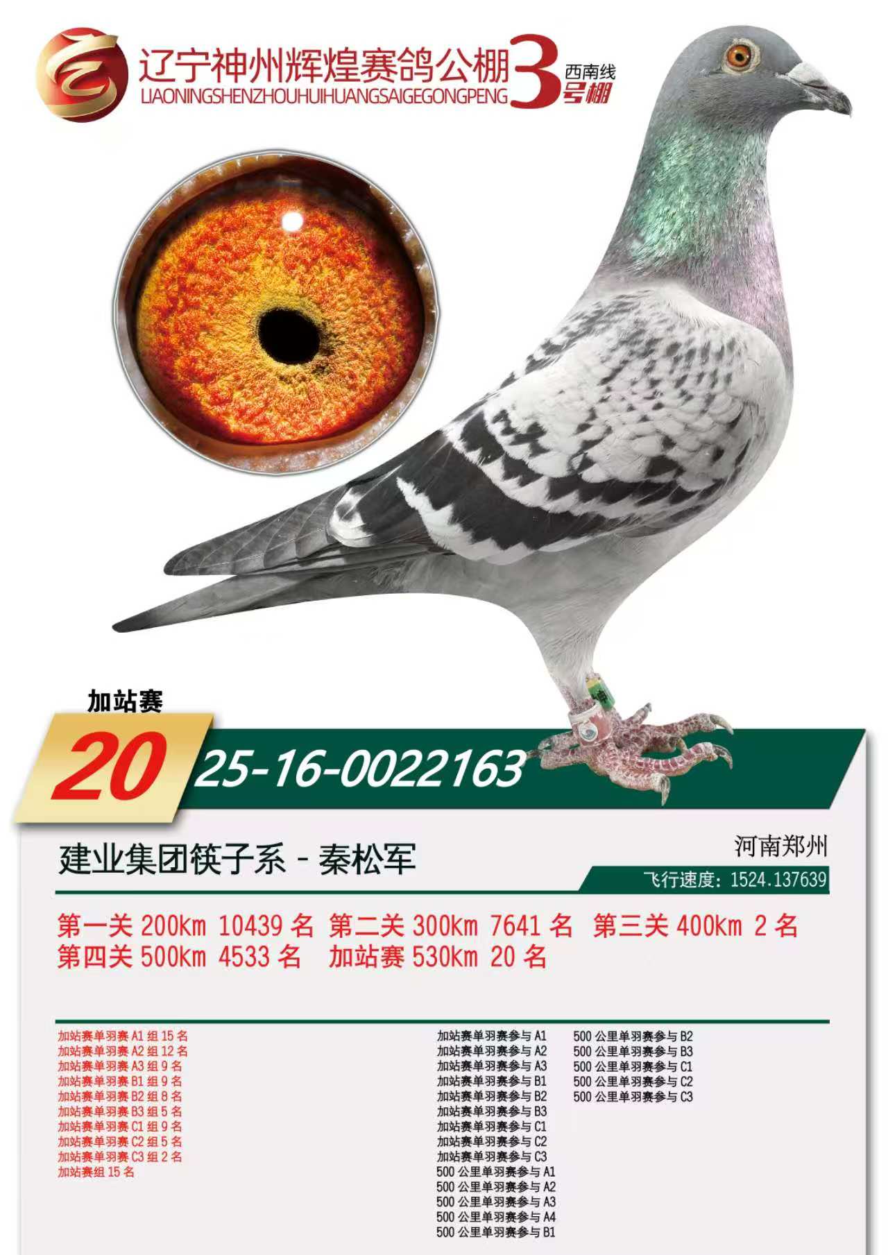 �|�������x��3̖(h��o)��ӑ�(zh��n)20��