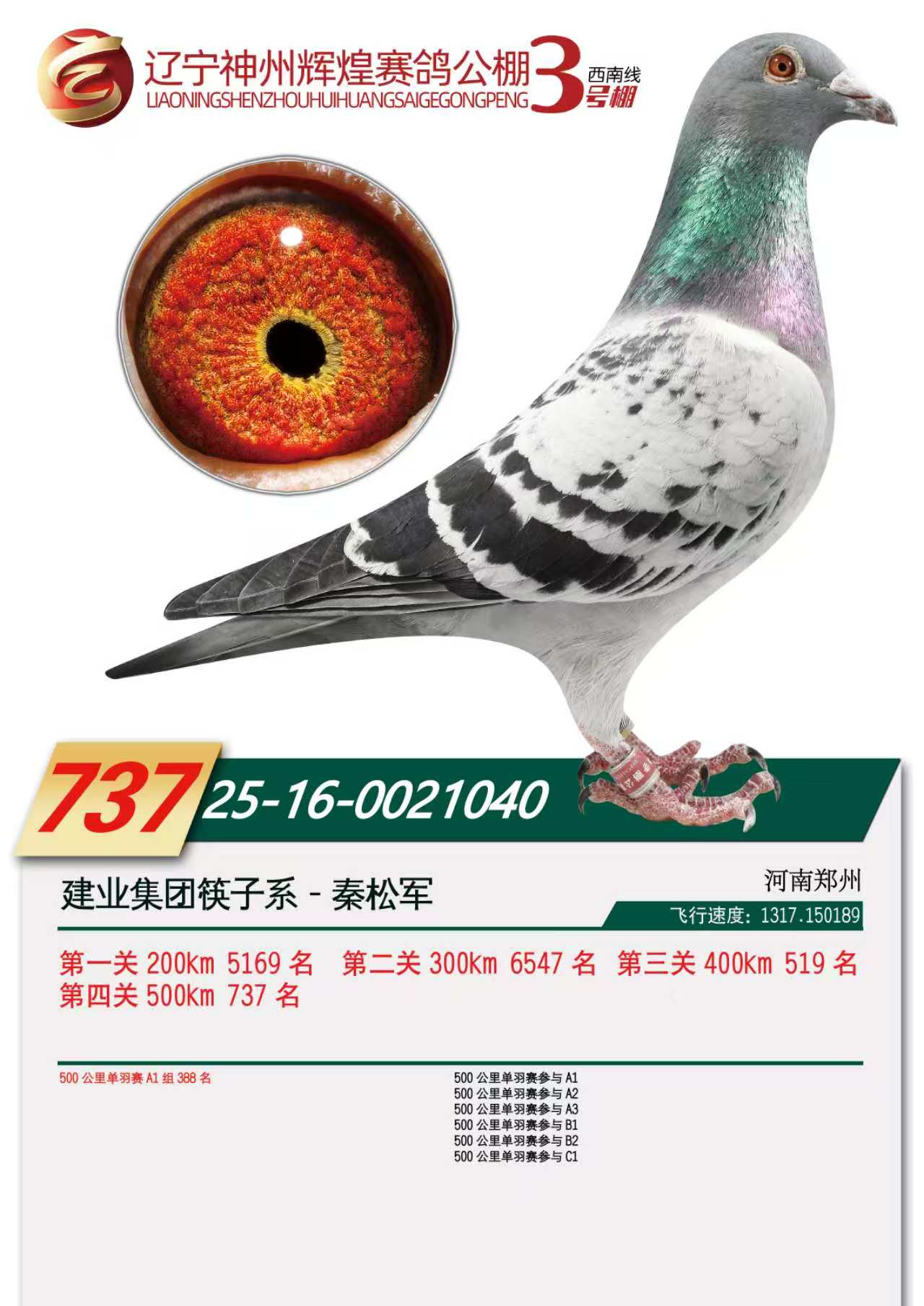 �|�������x��3̖(h��o)��Qِ737��