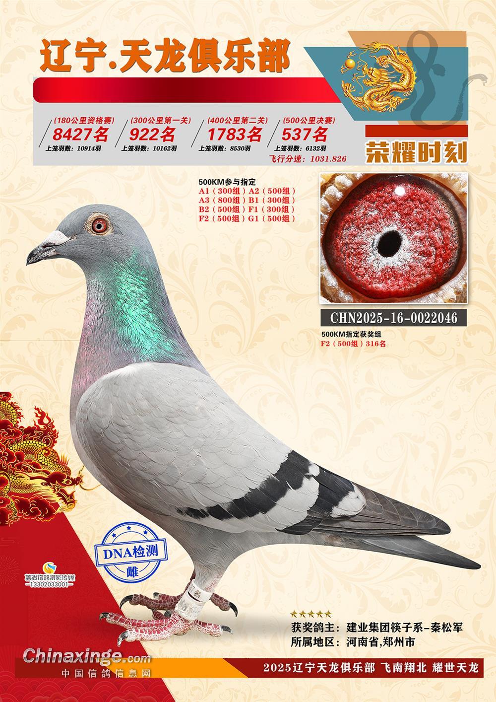 �����㘷���Qِ537��