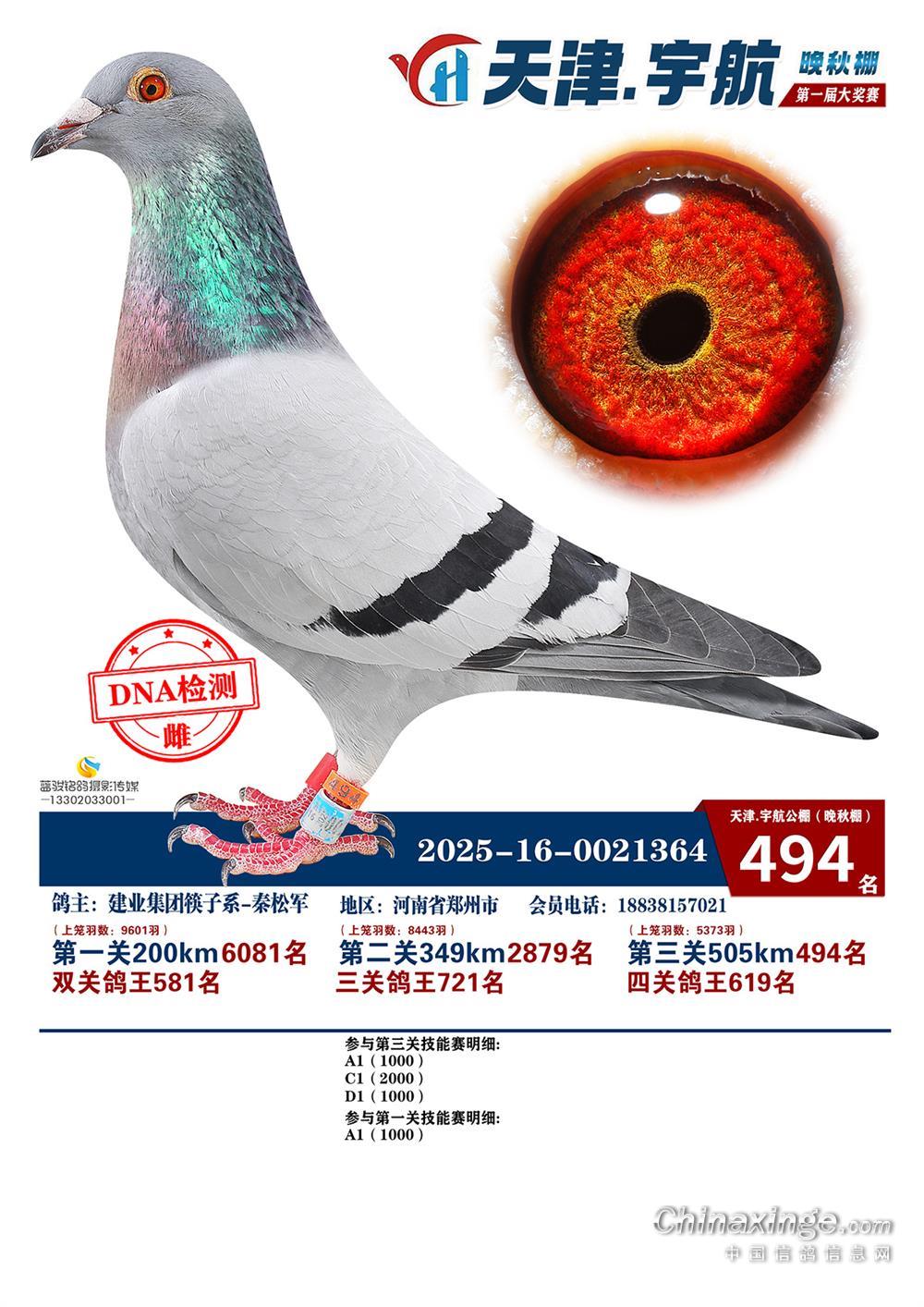 ����������Qِ494��