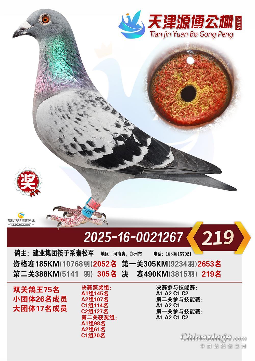 ���Դ������Qِ219��