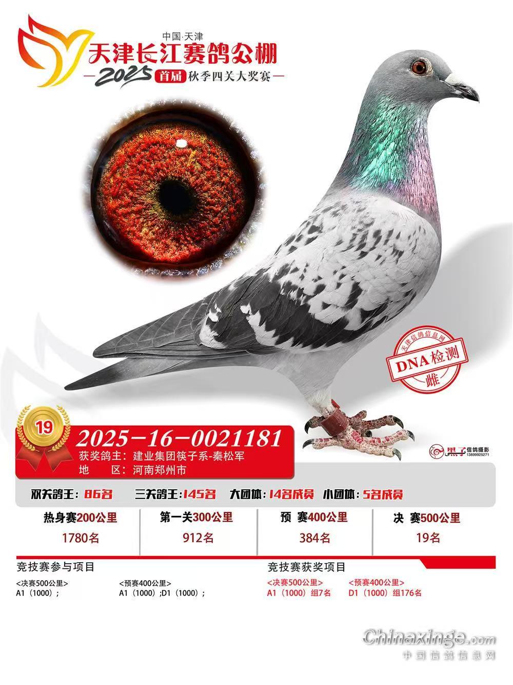 ����L(zh��ng)������Qِ19��