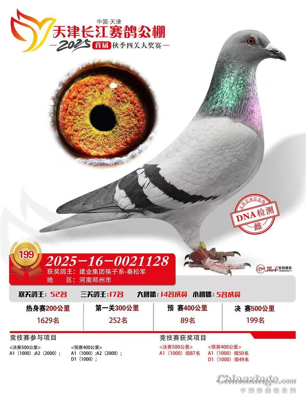 ����L(zh��ng)������Qِ199��